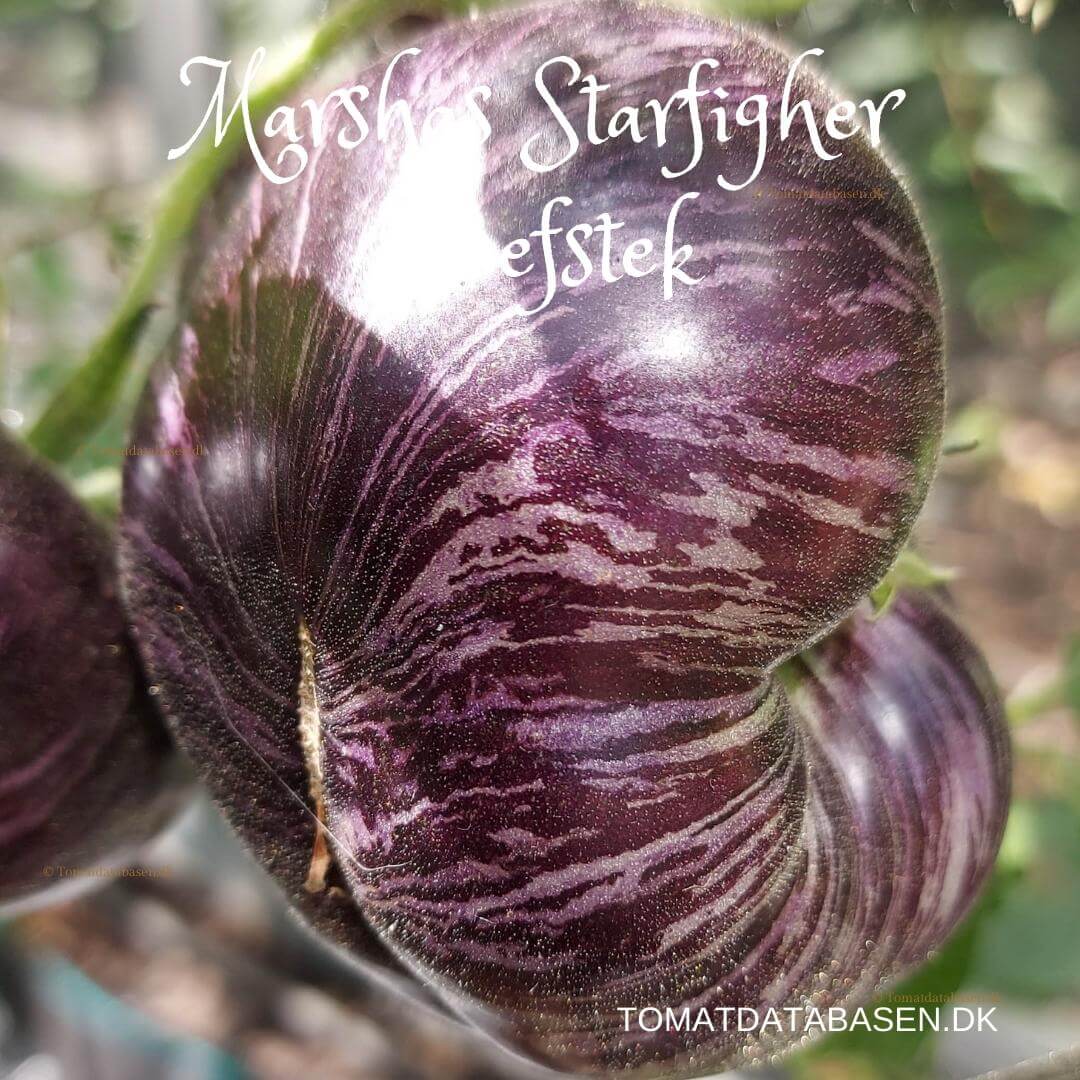 Marsha's Starfighter Beefsteak